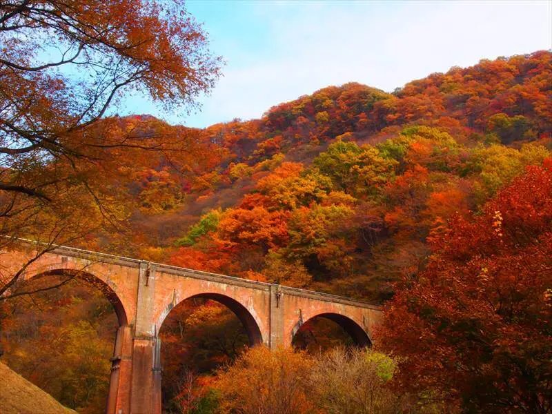 🚂 안경 다리(메가네바시) 이미지 5